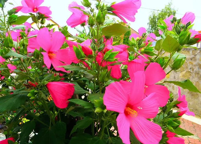 Apart-hotel Kristály 3*