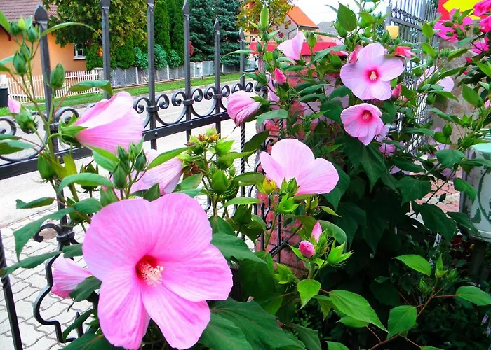 Kristály 3* Hévíz