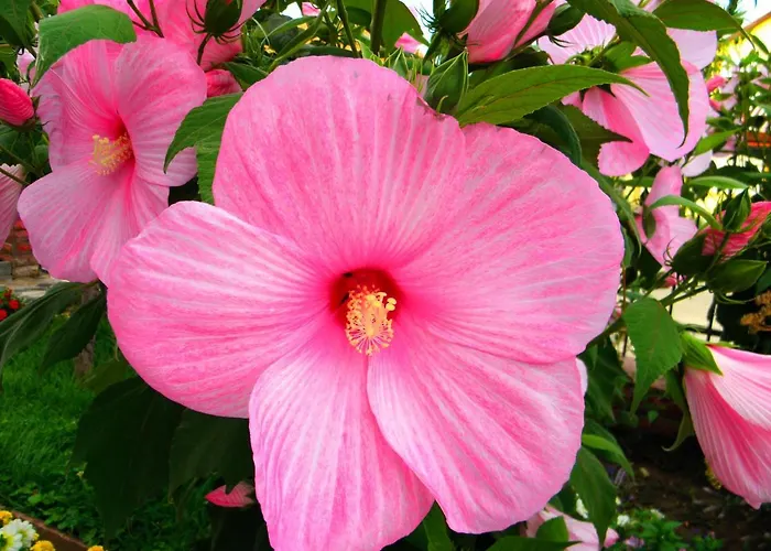 Kristály 3* Hévíz