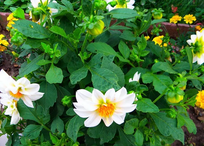 Kristály Apart-hotel 3*