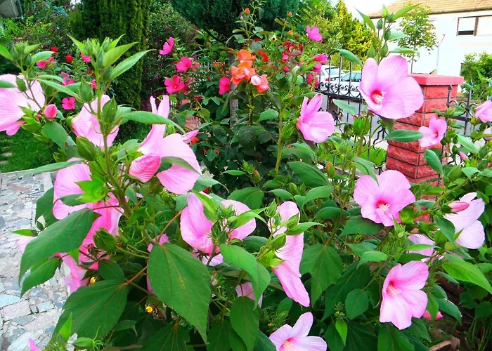 Apart-hotel Kristály Hévíz